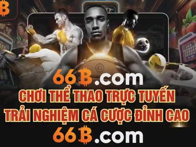 Giới Thiệu Tổng Quan Về 66B